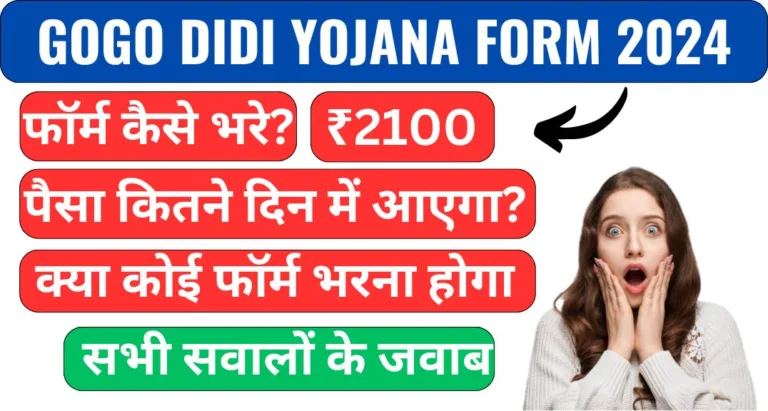 GOGO Didi Yojana Form 2024