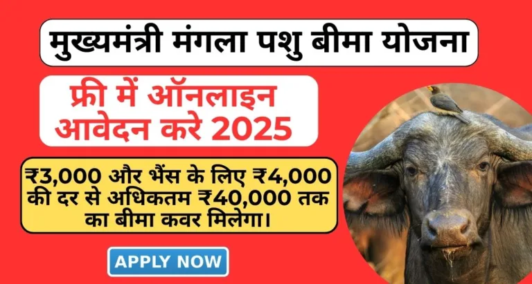 mukhyamantri mangla pashu bima yojana