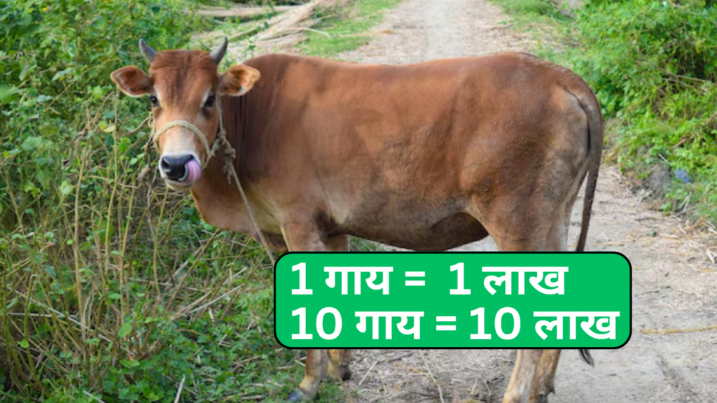 Amritdhara Yojana Uttar Pradesh गाय को पालने के लिए सरकार देगी लाखो रूपये
