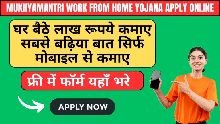 Mukhyamantri Work From Home Yojana Apply Online