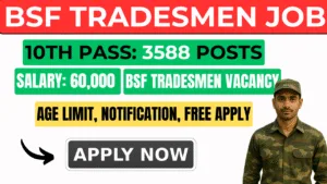 BSF TRADESMEN VACANCY