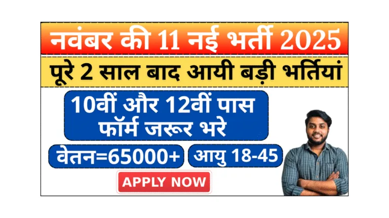 new 11 vacancies in november 2025