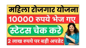 mahila rojgar yojana 2025 28 november list